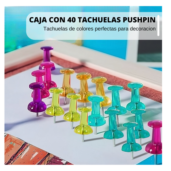 Push pin estuche Tachuela pin de plástico papelería 40pza