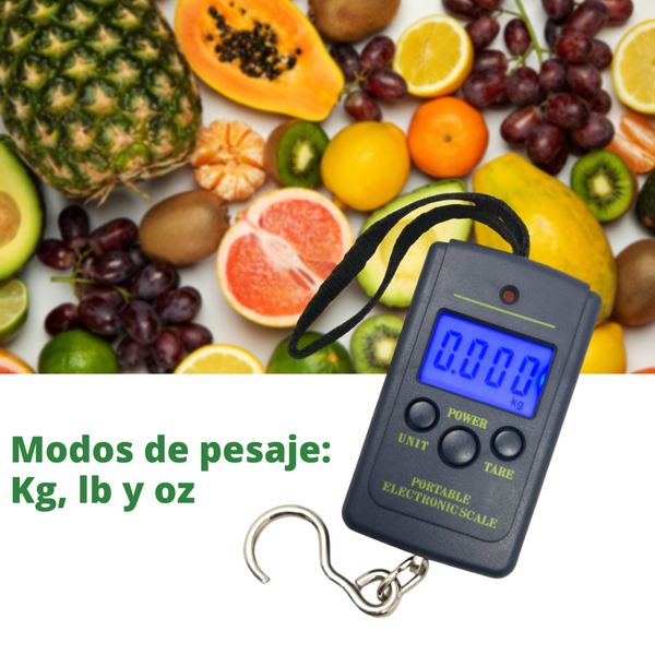 Bascula Digital Equipaje Portátil viaje Gancho 40kg/10g