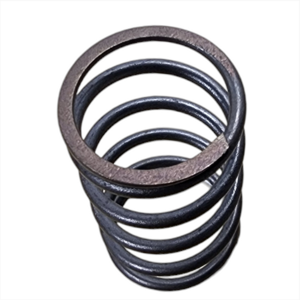 Muelle resorte de Válvula A906993090 para Mercedes-Benz 10pz