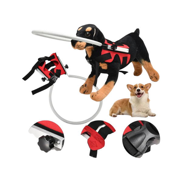 Arnés para perros ciegos con anillo anticolisión