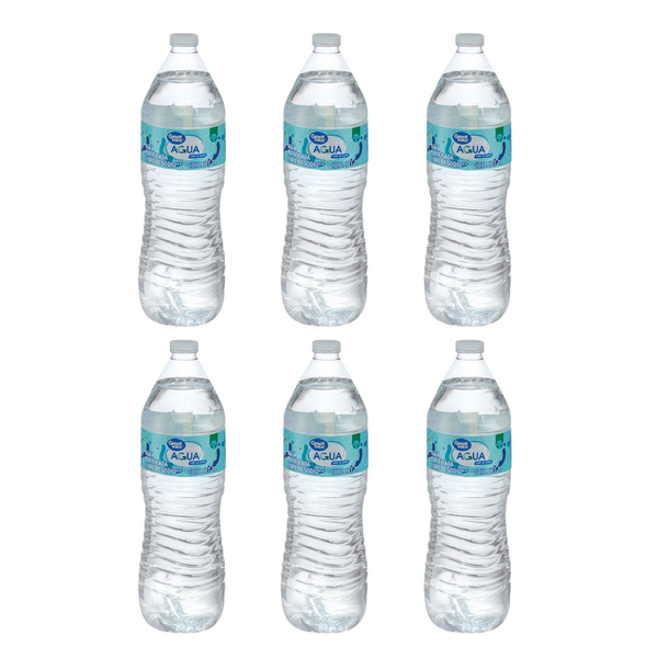 6 Botellas purificada de agua 1 litro