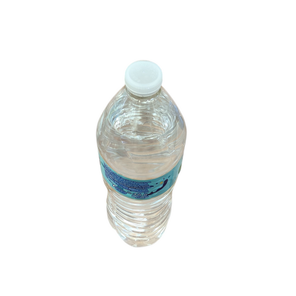 6 Botellas purificada de agua 1 litro