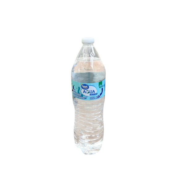 6 Botellas purificada de agua 1 litro