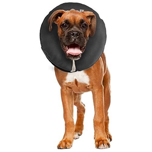 COLLAR RECUPERACION PERROS talla L