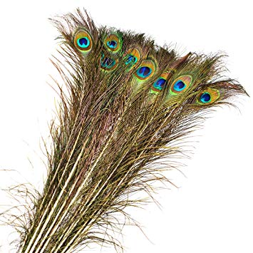 Plumas De Pavo Real (ojo) Naturales