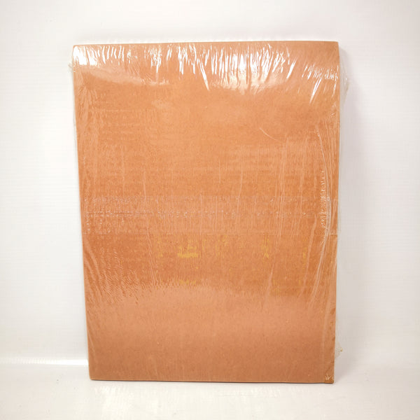 Hoja Carta Papel Cartulina Gruesa Manualidades Sun Works
