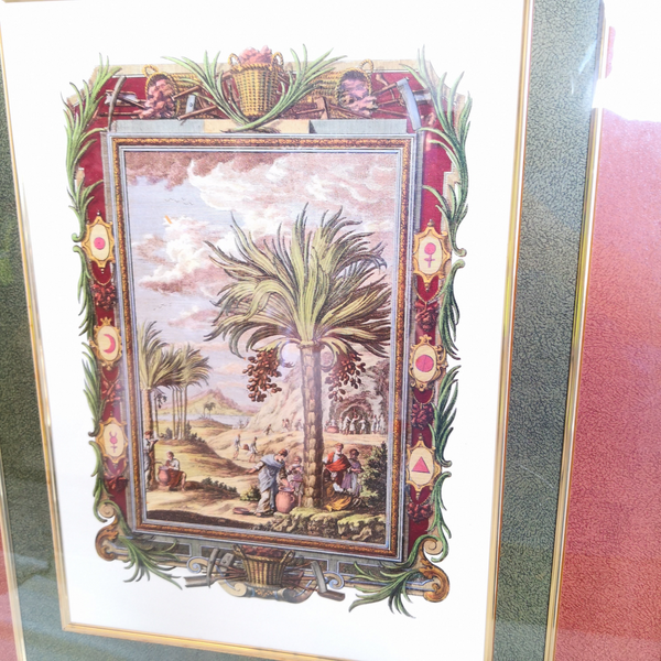 Cuadro Litografia Paisaje Toscana Palmera Marco Madera Con Vidrio