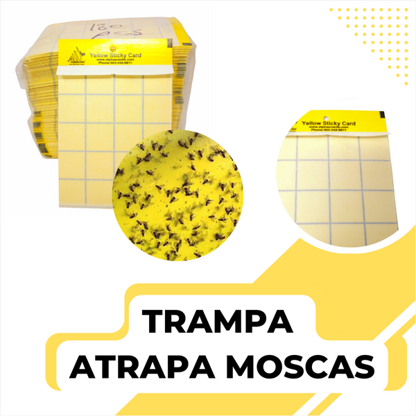 Trampa atrapa moscas pegajosas 10x15cms doble vista 24 pack