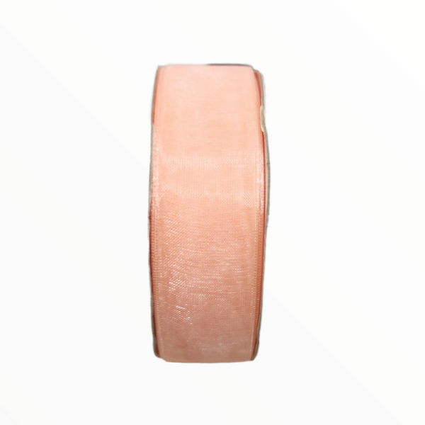 Rollo Liston 7/8" 25Yd Color A elegir Satin Nylon Popotillo