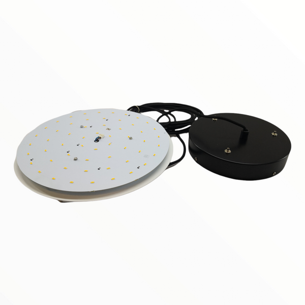 Lámpara colgante luz LED decorativa pantalla negra Europea
