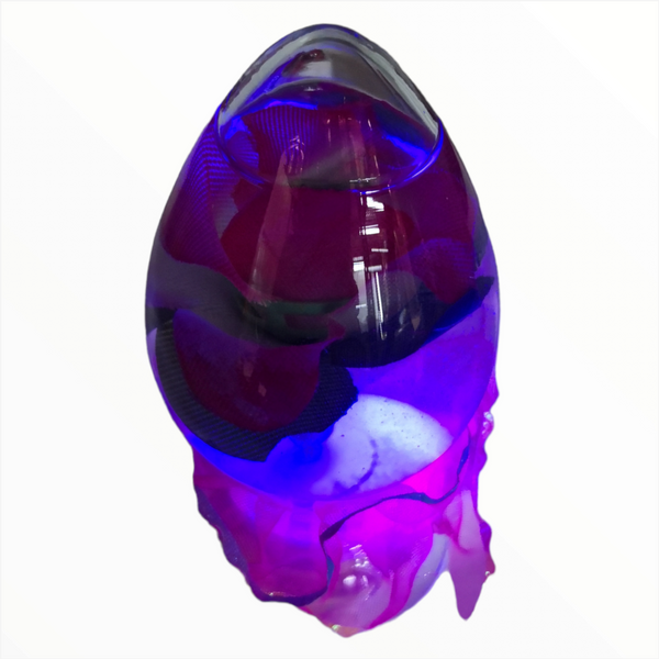 Rosas Encapsuladas en Agua Luz Led Pack 12pz San Valentin