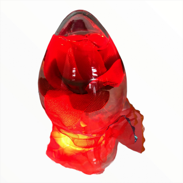 Rosas Encapsuladas en Agua Luz Led Pack 12pz San Valentin