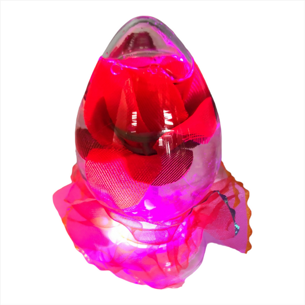Rosas Encapsuladas en Agua Luz Led Pack 12pz San Valentin